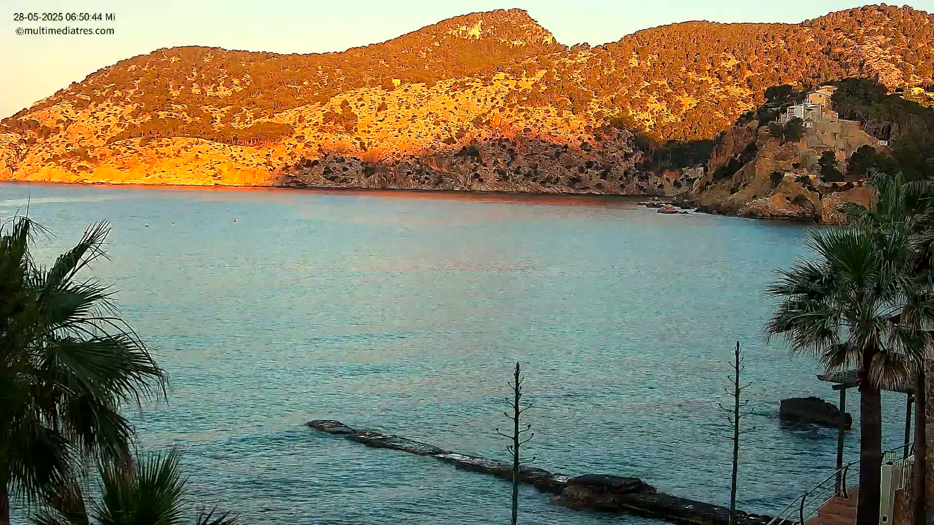 A calm body of water laps a rocky shore, with a sunlit hillside rising behind it, partially obscured by palm trees in the foreground.