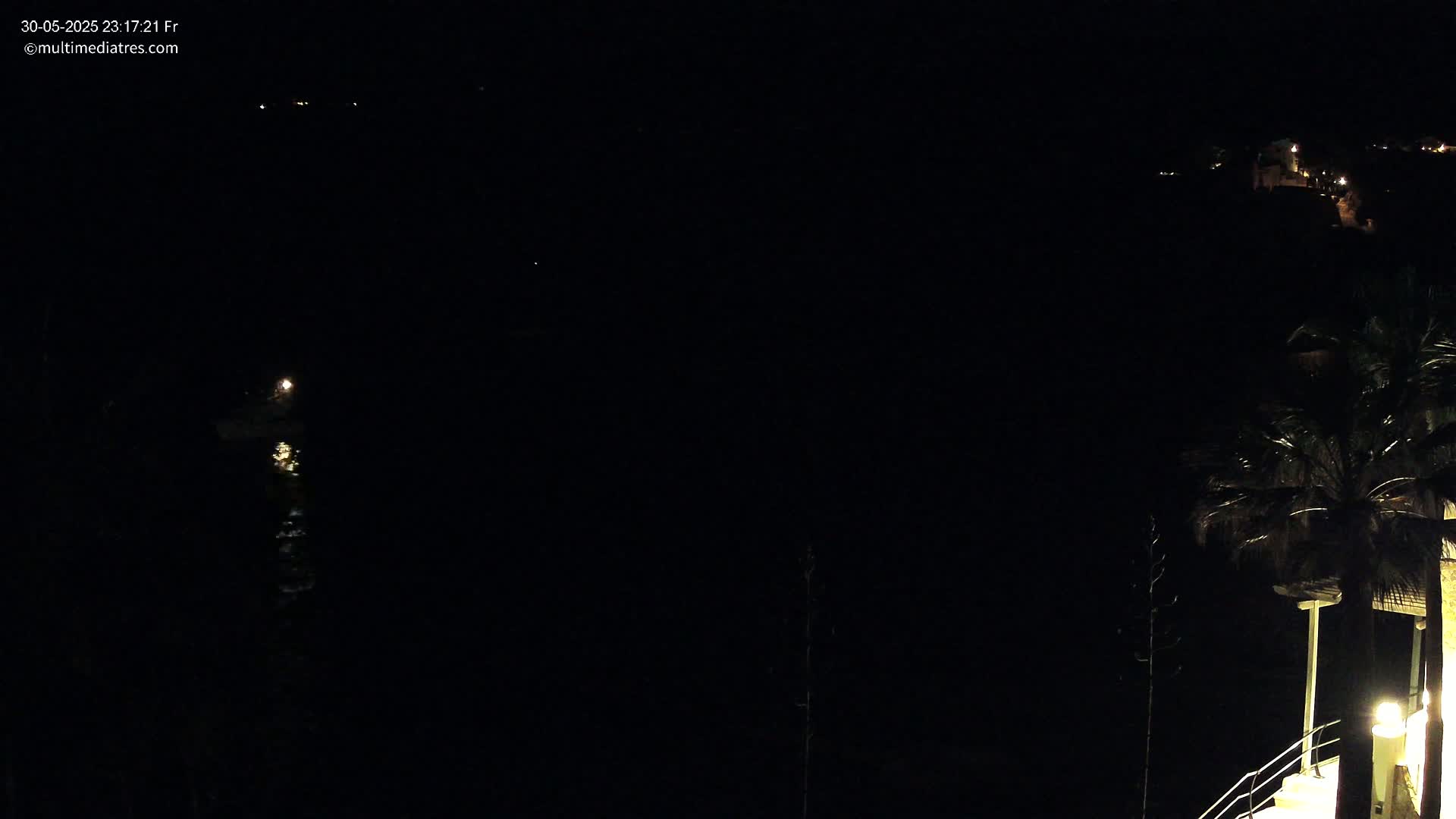 A dark nighttime scene shows a body of water with a small light in the distance, a palm tree to the right, and dimly lit buildings on a hill in the background.