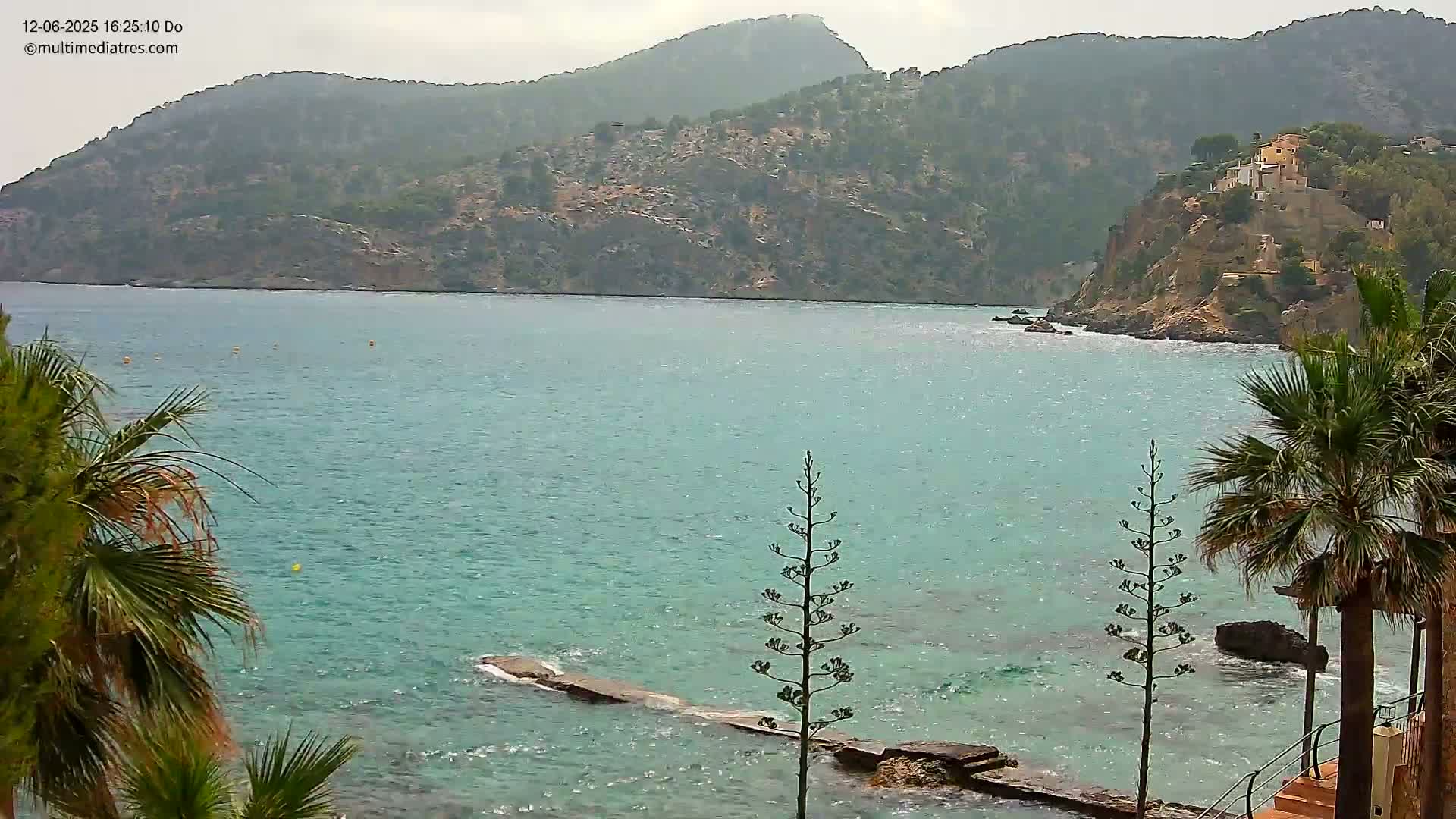 A calm, light-blue sea laps gently against a rocky shore, where palm trees stand beside a low stone wall, with hazy mountains rising in the background.