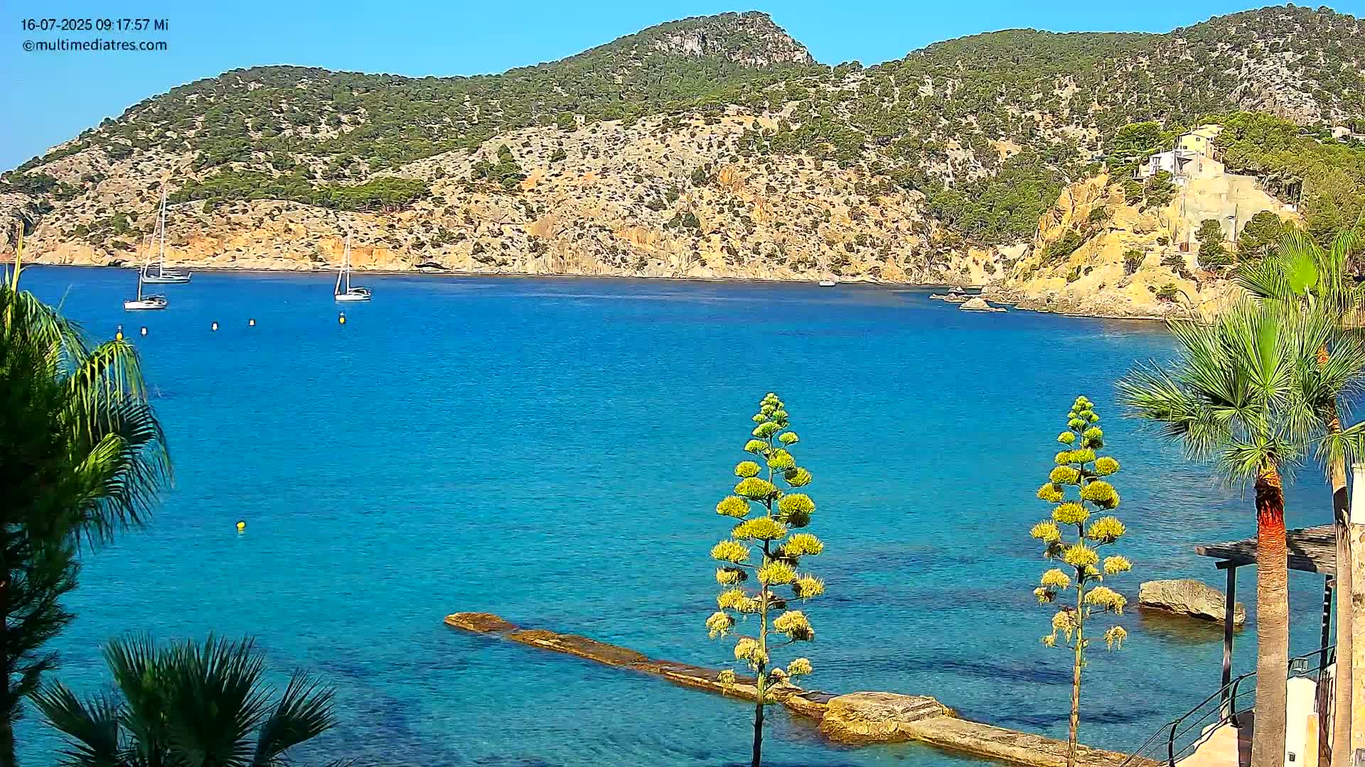 A clear, sunny day reveals a tranquil cove with bright turquoise water, several sailboats, and palm trees lining the shore near a rocky, tree-covered hillside.