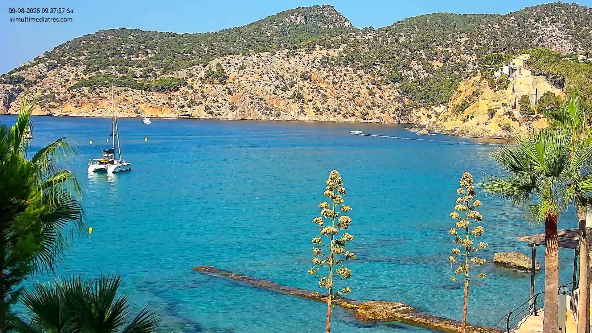A tranquil, sunny cove with clear turquoise water features several boats, palm trees, and a rocky hillside covered in green vegetation.