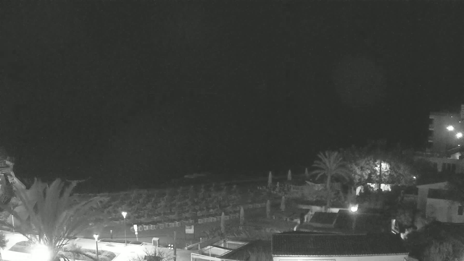 A nighttime, overcast view of a beach with rows of closed umbrellas and palm trees, seen from an elevated vantage point overlooking buildings and a roadway.