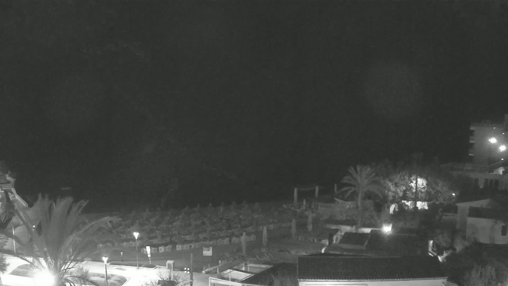 A nighttime, low-light view of a beach with numerous closed beach umbrellas and palm trees, under a dark, overcast sky.