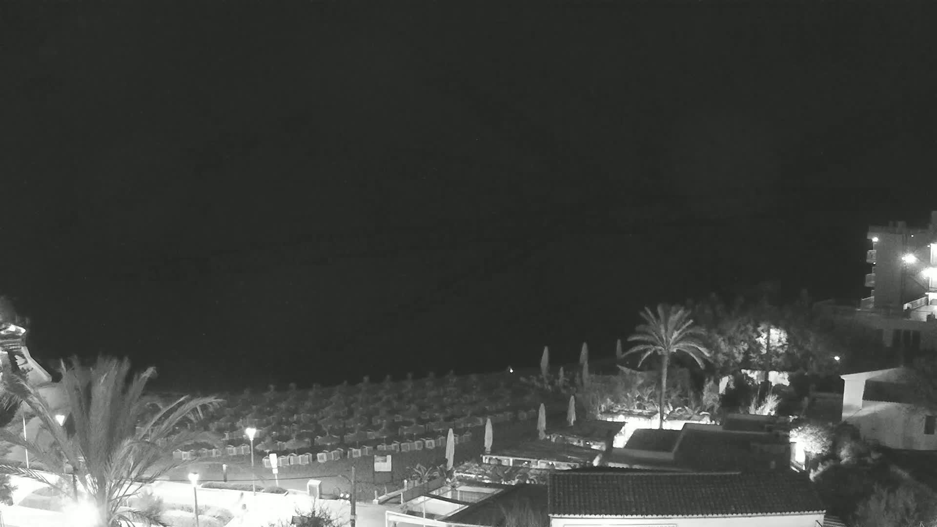 A nighttime view of a beach with rows of beach huts, palm trees, and buildings under a dark, clear sky.