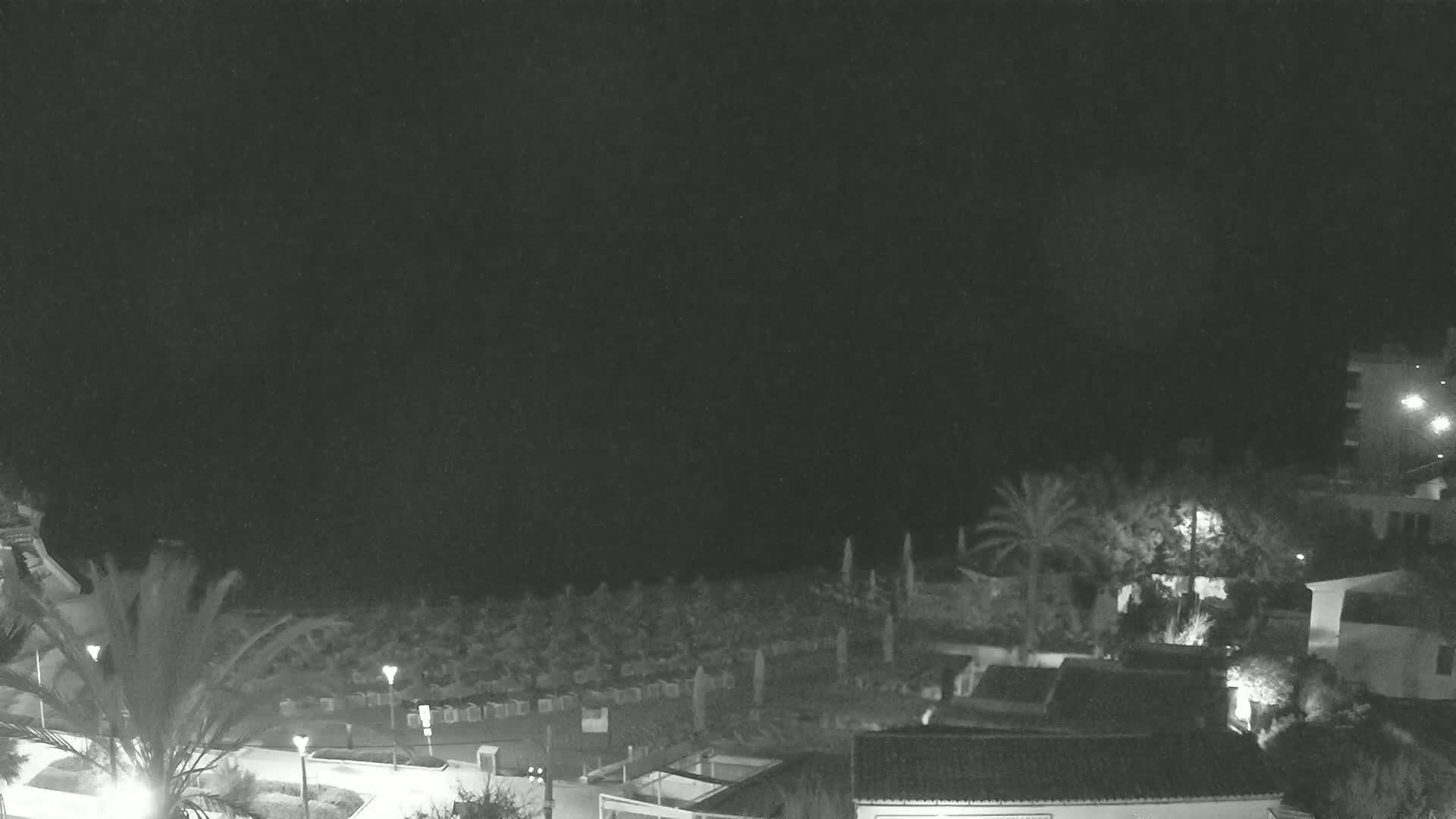 A nighttime, low-light view of a coastal area shows palm trees, buildings, and what appears to be a beach or park area under a dark sky.