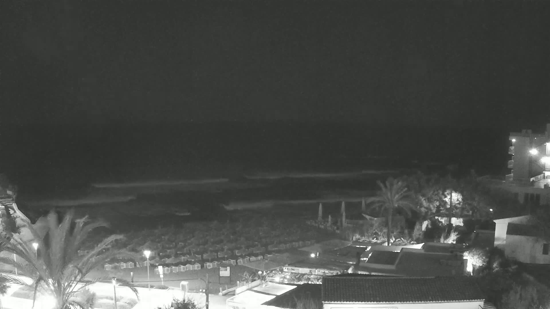 A nighttime view of a beach with calm waves, palm trees, and buildings under a dark sky.
