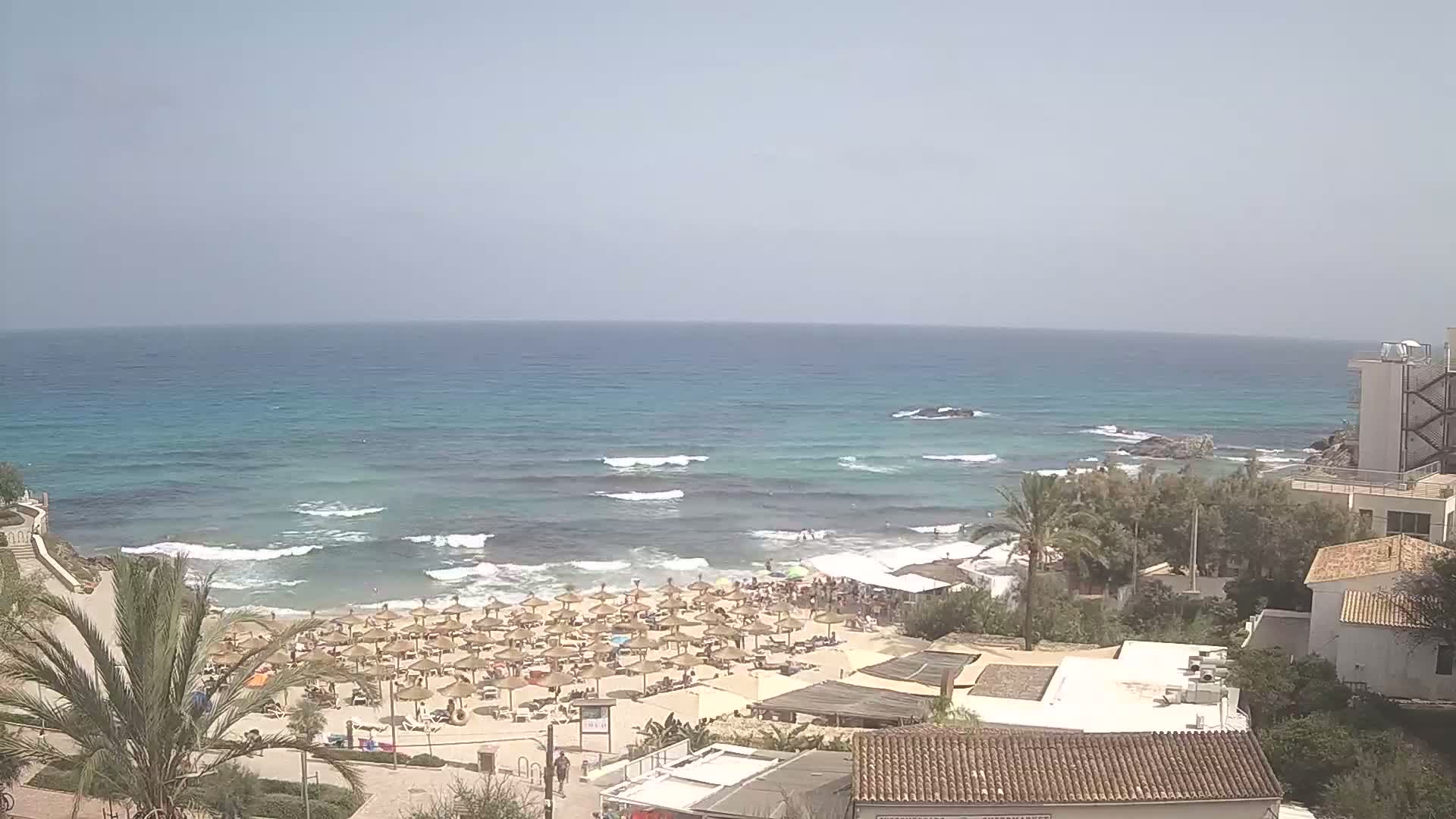 A sandy beach with numerous straw umbrellas is crowded with people, backed by buildings and palm trees, overlooking a turquoise ocean with small waves under a clear sky.