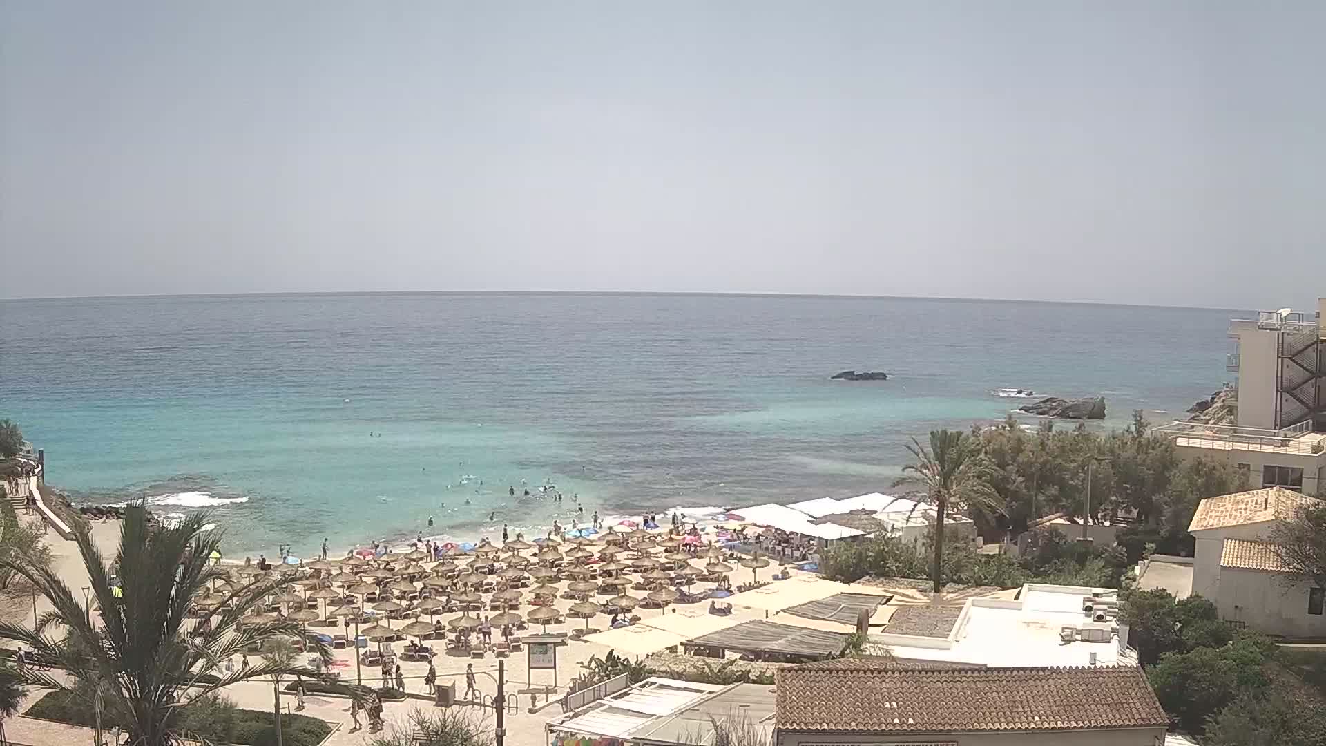 A sunny day at a beach shows many people swimming and relaxing under numerous umbrellas on a sandy shore next to buildings and palm trees.