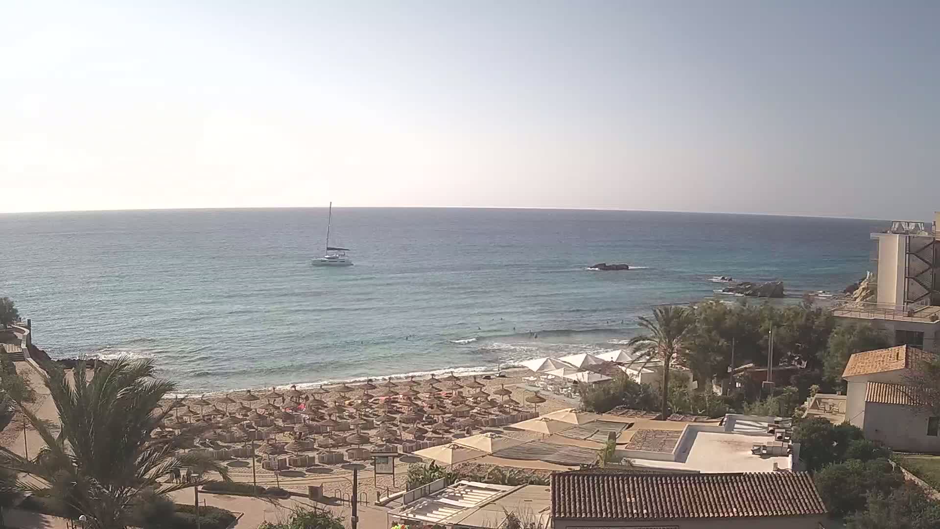 A sandy beach with numerous umbrellas and a calm ocean under a clear sky is overlooked by buildings and palm trees.