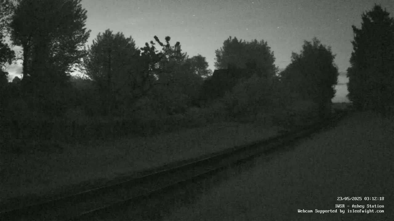 A nighttime view of a railway track bordered by dark trees under a slightly cloudy sky.