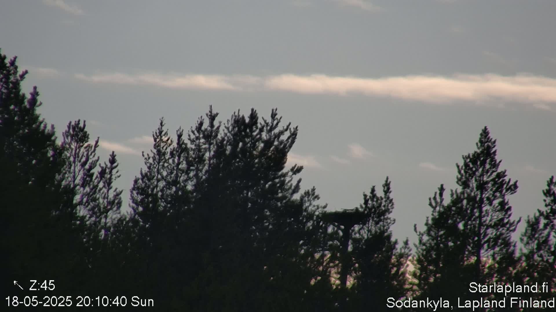 Silhouetted evergreen trees are visible against a mostly cloudy, light gray sky.