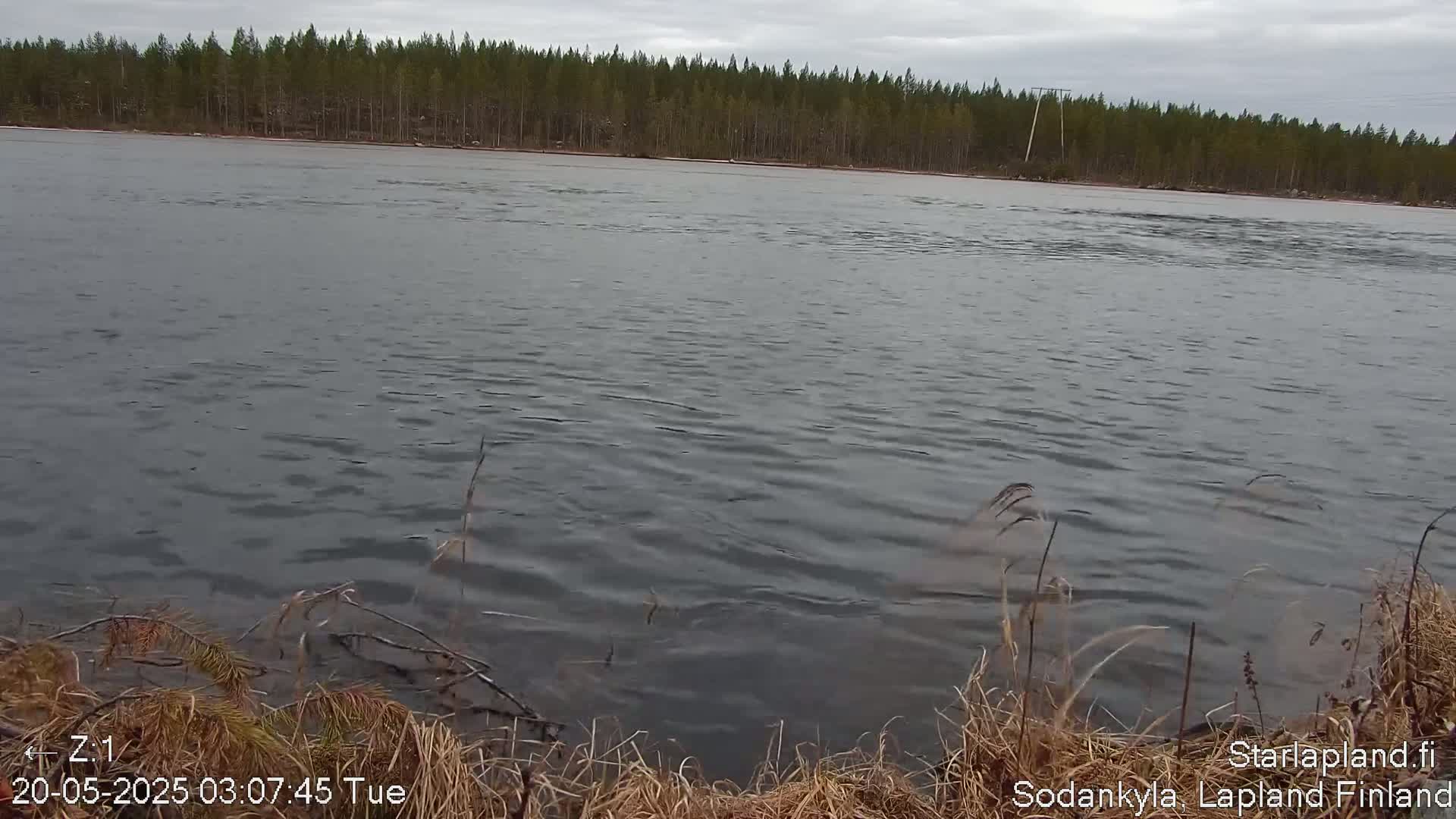A gray, overcast sky hangs over a wide, gently flowing river bordered by a dark green coniferous forest.