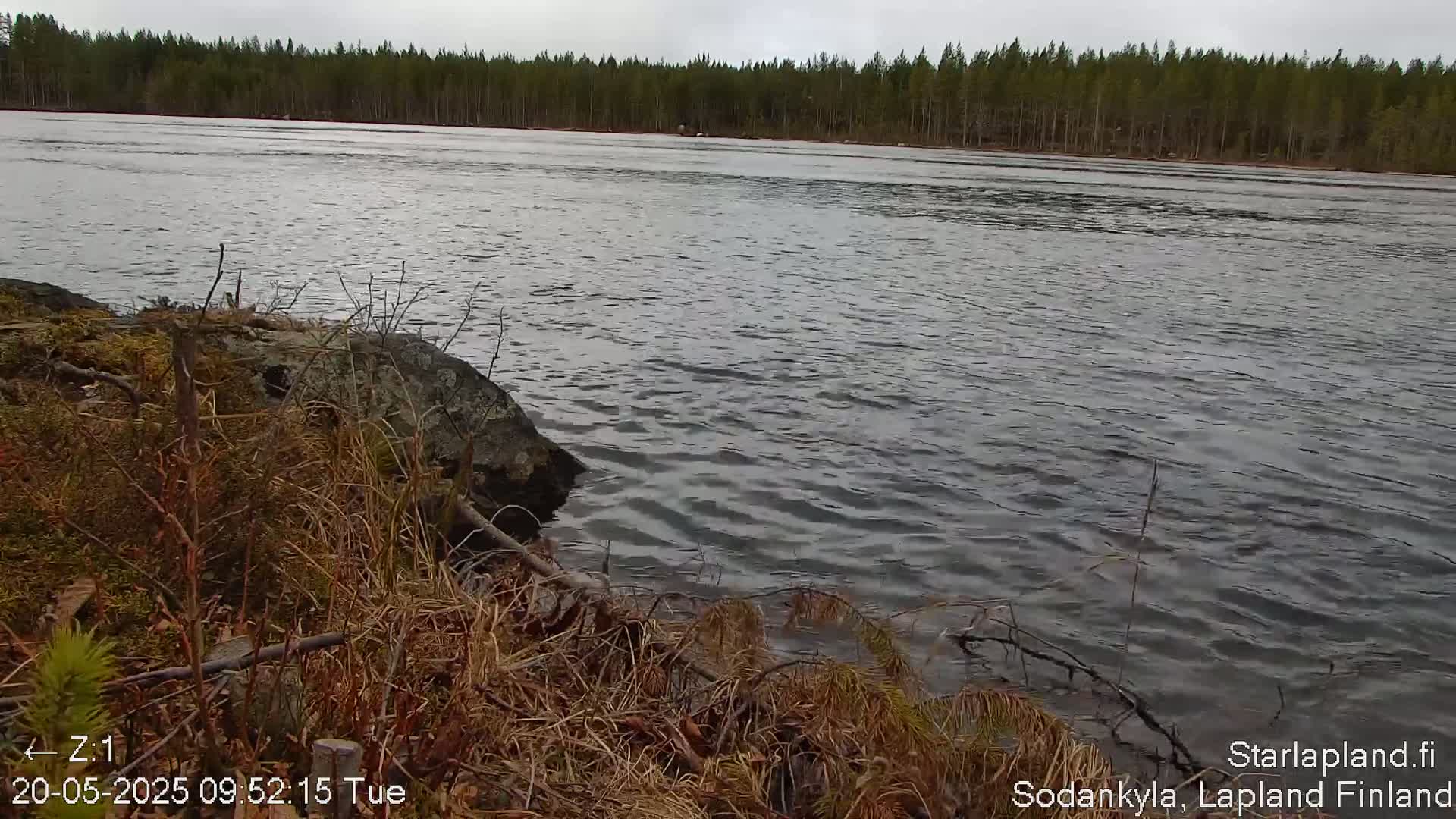 Kitinen River & Osprey Nest  View Sodankylä Live Cam -  Sodankyla, Northern Lapland (Pohjois-Lappi), Lapland (Lappi),Finland