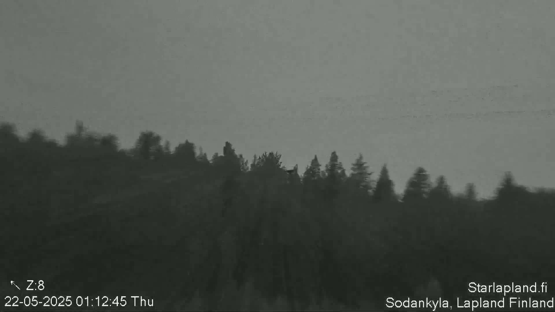 A dark, overcast sky is visible above a silhouetted line of trees.