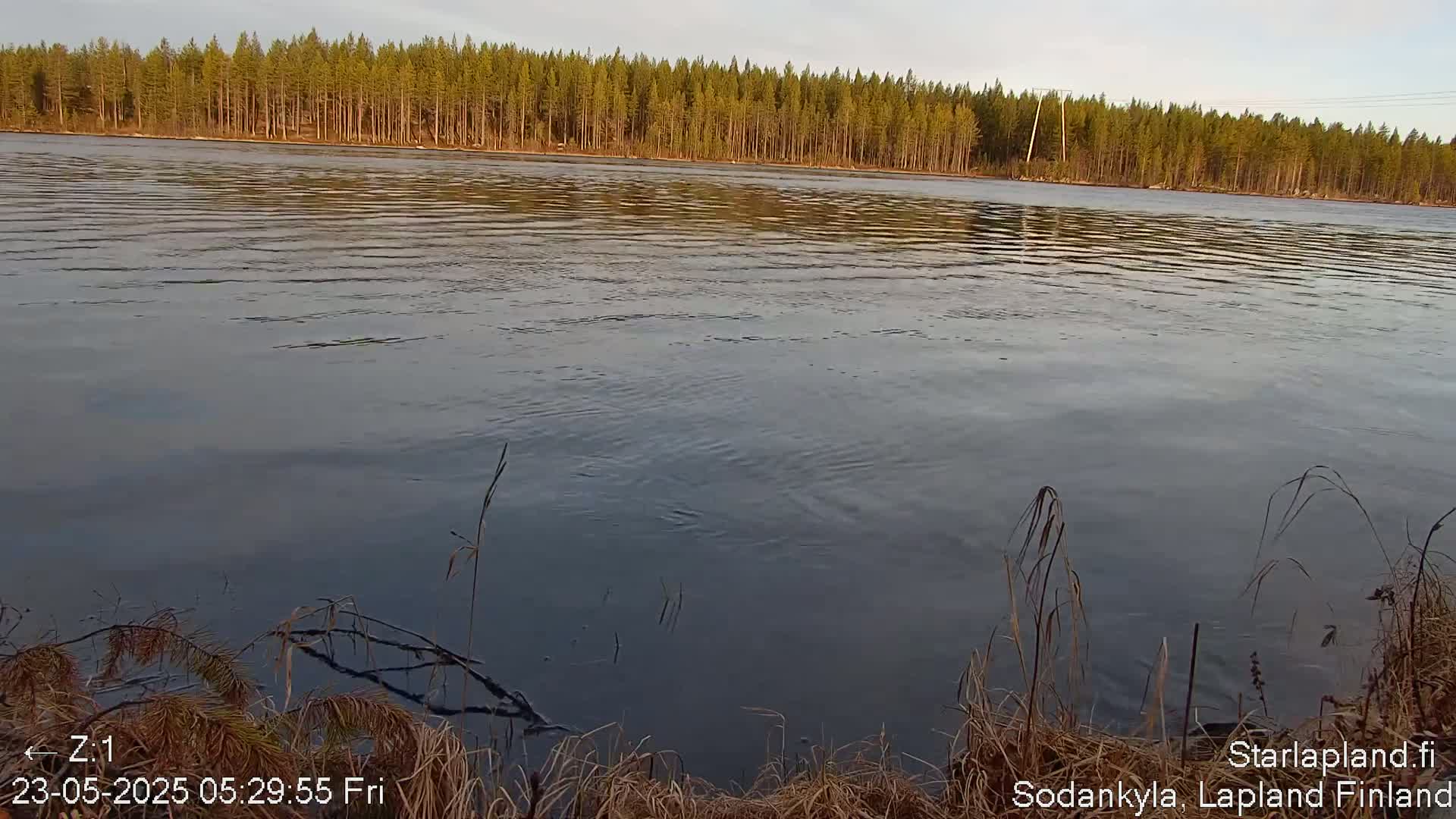 A calm river flows past a shoreline with dry, brown grasses and a line of evergreen trees in the background under a clear, light sky.