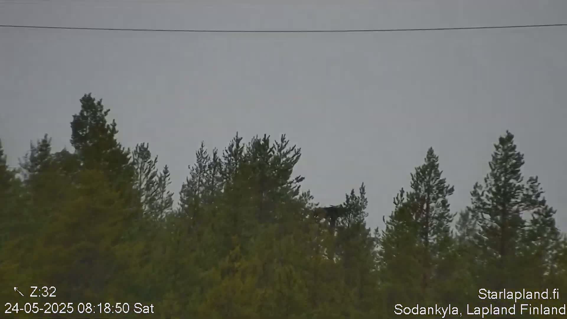 Kitinen River & Osprey Nest  View Sodankylä Live Cam -  Sodankyla, Northern Lapland (Pohjois-Lappi), Lapland (Lappi),Finland