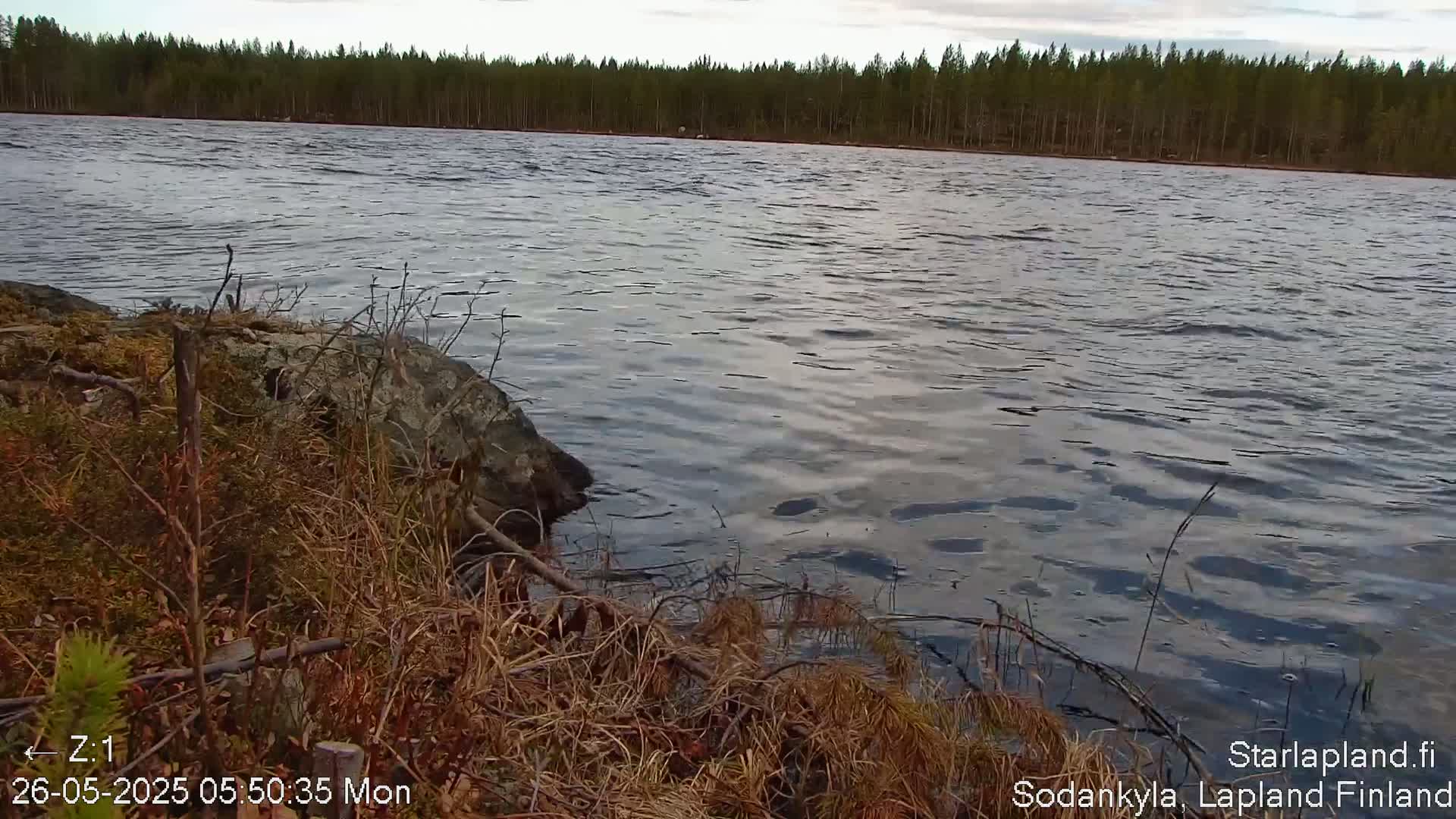Kitinen River & Osprey Nest  View Sodankylä Live Cam -  Sodankyla, Northern Lapland (Pohjois-Lappi), Lapland (Lappi),Finland
