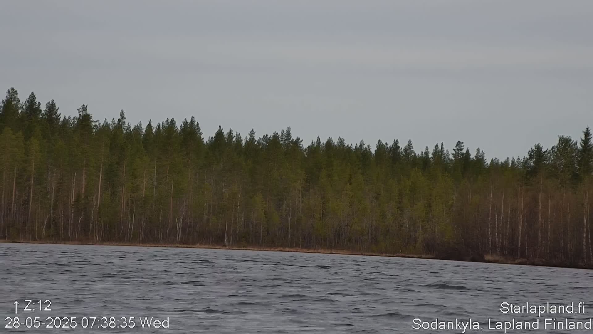 A dark, choppy lake stretches to a dense line of evergreen trees under a gray sky.