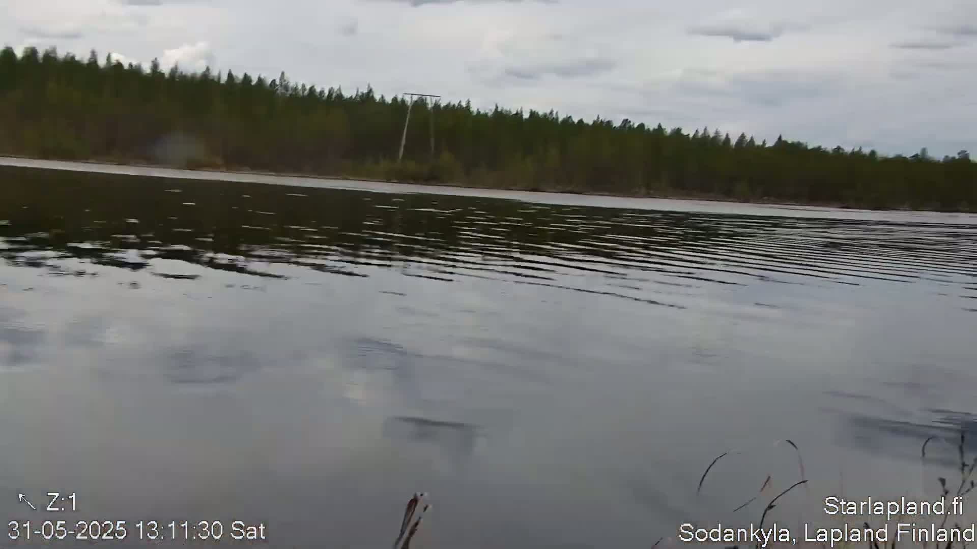A calm body of water with gentle ripples is situated in front of a dense line of evergreen trees under an overcast sky.
