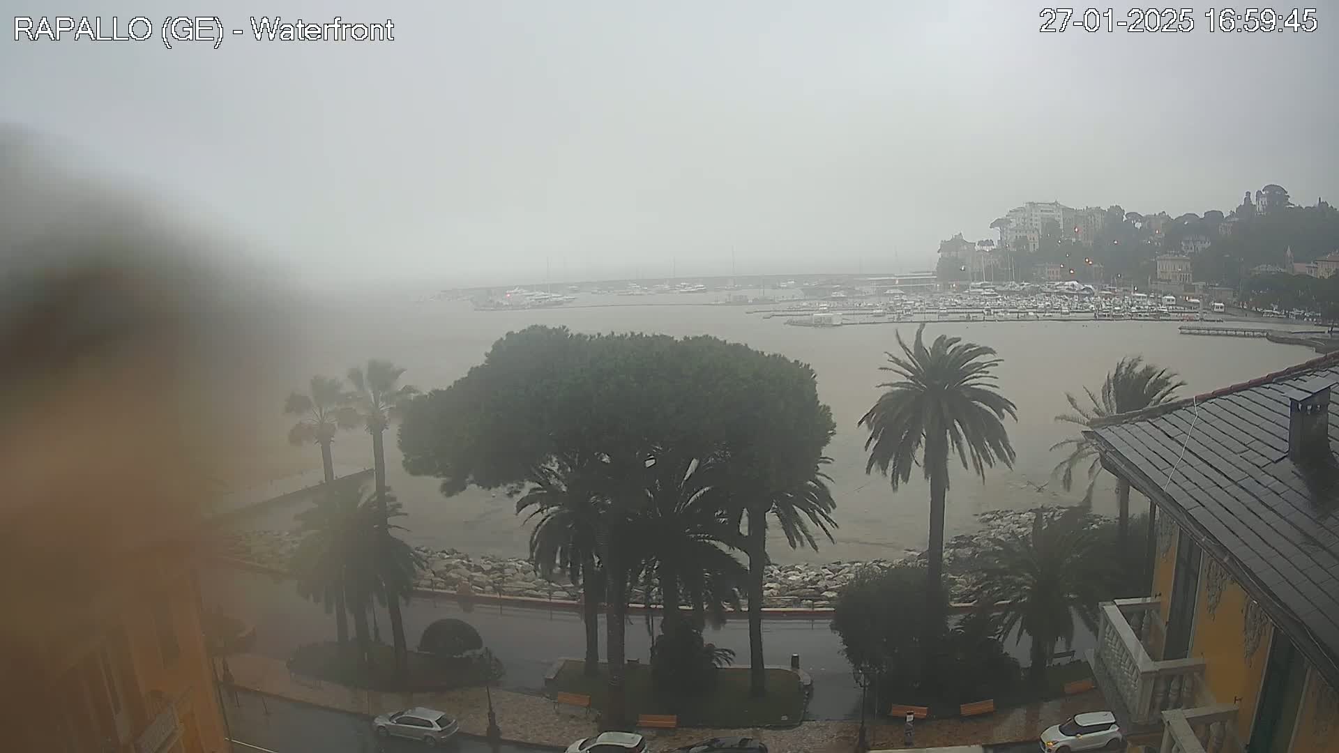 A rain-swept waterfront scene shows a harbor filled with boats, palm trees lining a rain-slicked street, and buildings in the background under a heavy, gray sky.