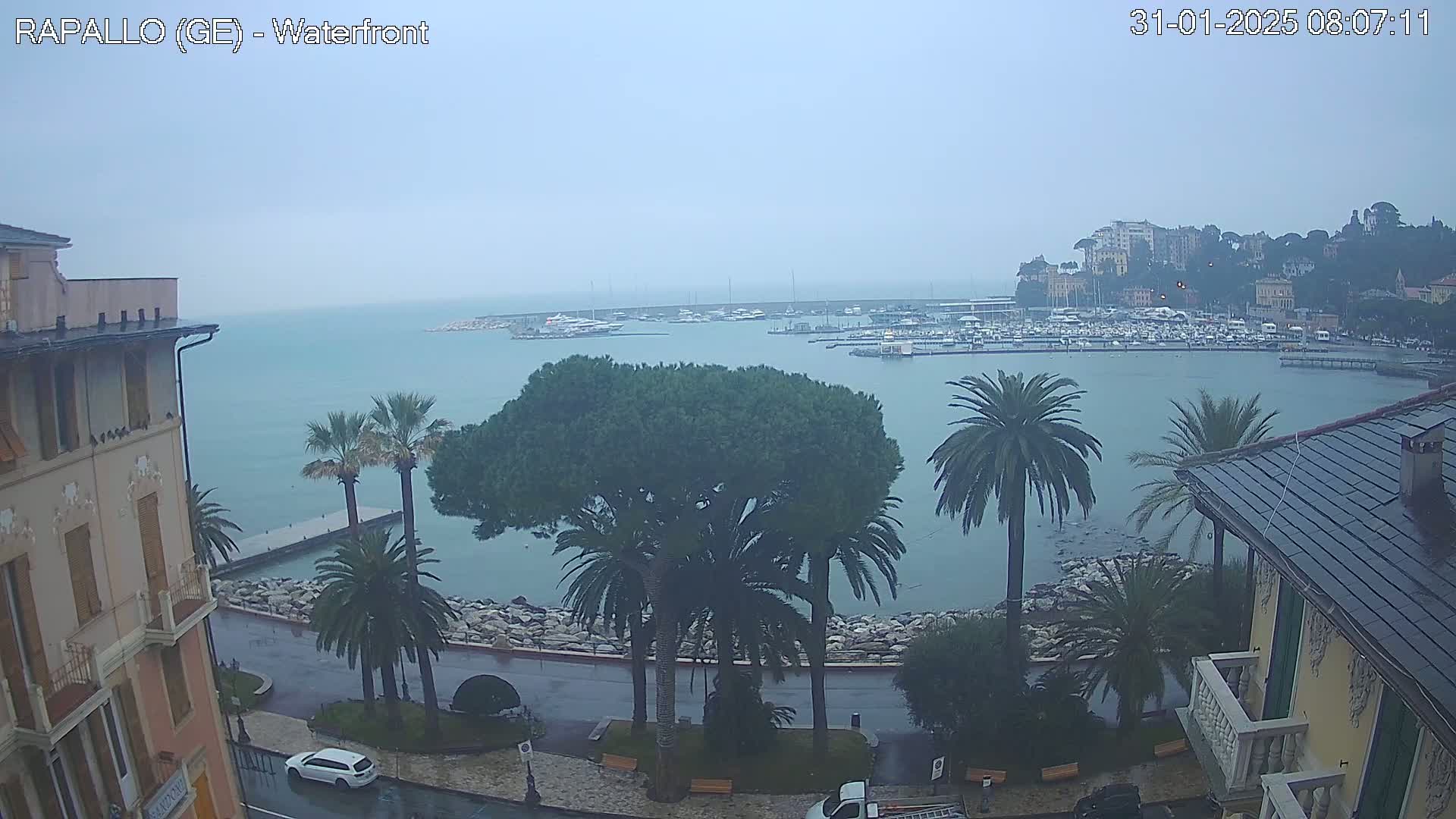 A waterfront view on an overcast day shows a harbor filled with boats, palm trees lining a roadway, and buildings on either side of the road.