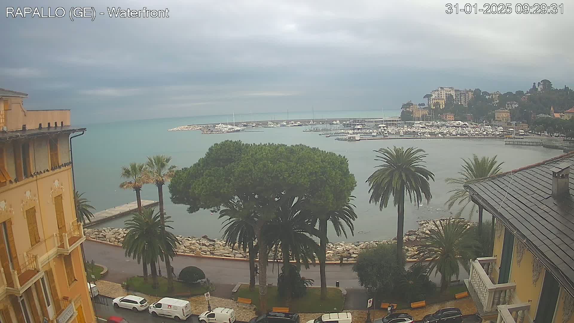 A waterfront view on an overcast day shows a harbor filled with boats, palm trees lining a seaside road, and buildings along the shore.
