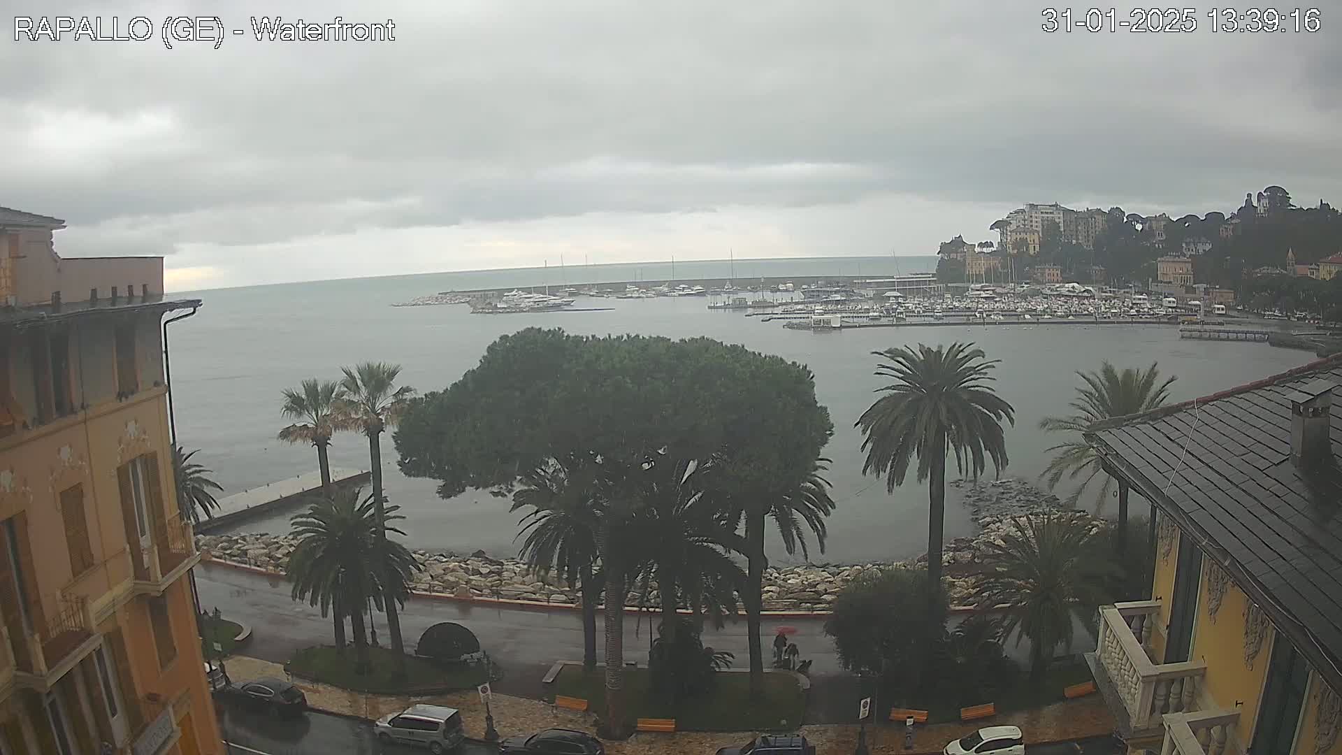 A rain-swept waterfront scene shows a harbor filled with boats, buildings on a hillside, palm trees lining a wet roadway, and overcast skies.