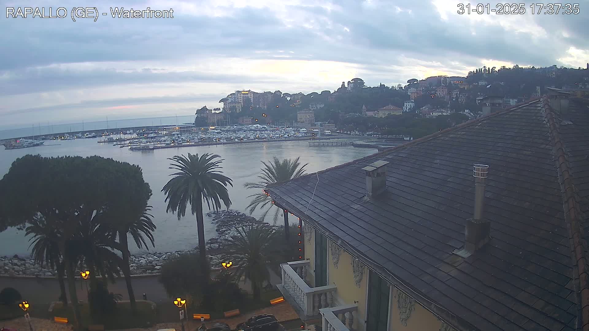 A waterfront view shows a calm harbor filled with boats, a hillside town under an overcast sky, and palm trees lining a walkway next to a building with a dark roof.