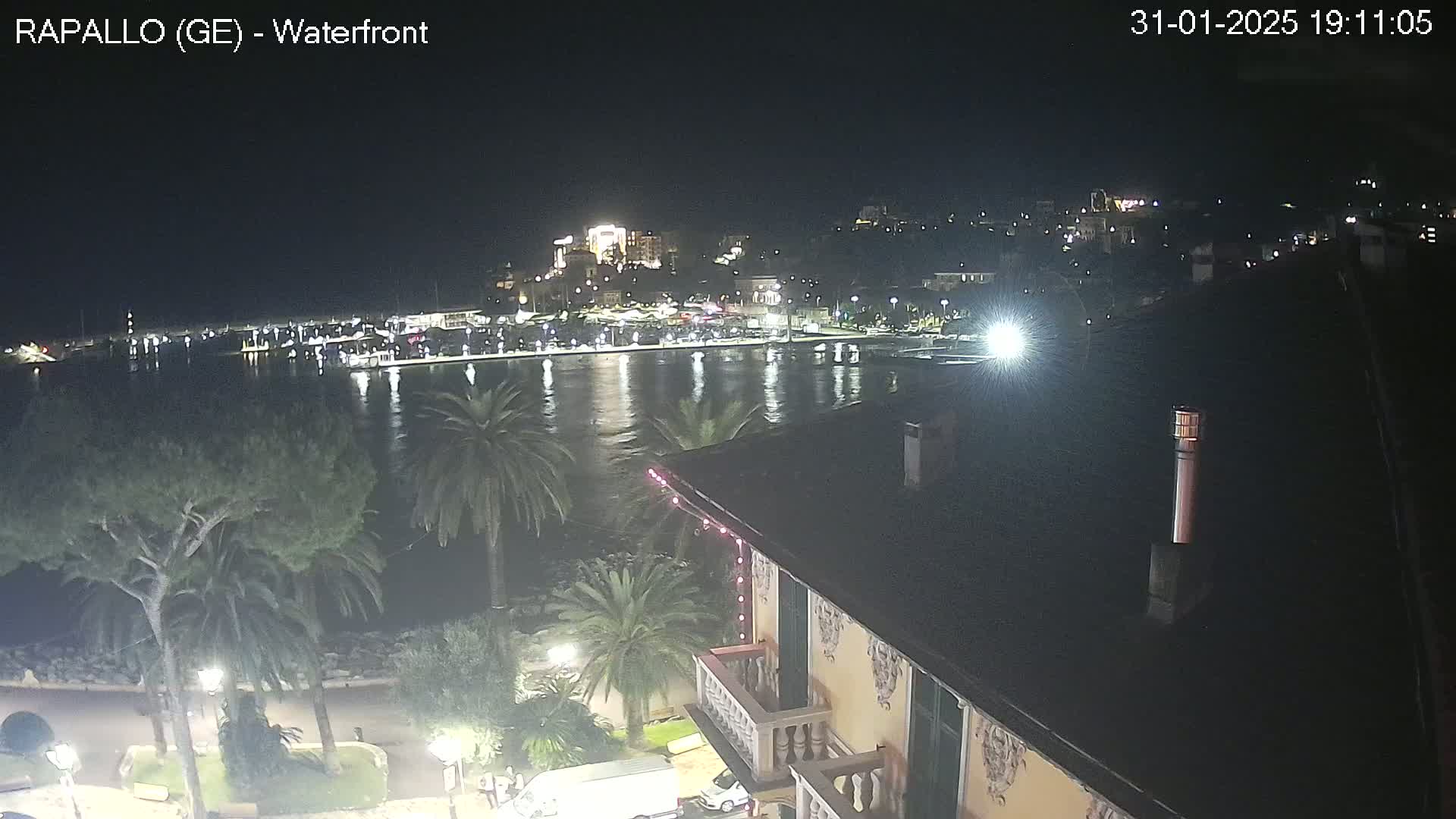 A nighttime view of a calm harbor with boats, lit buildings on a hillside, and palm trees along a waterfront promenade.