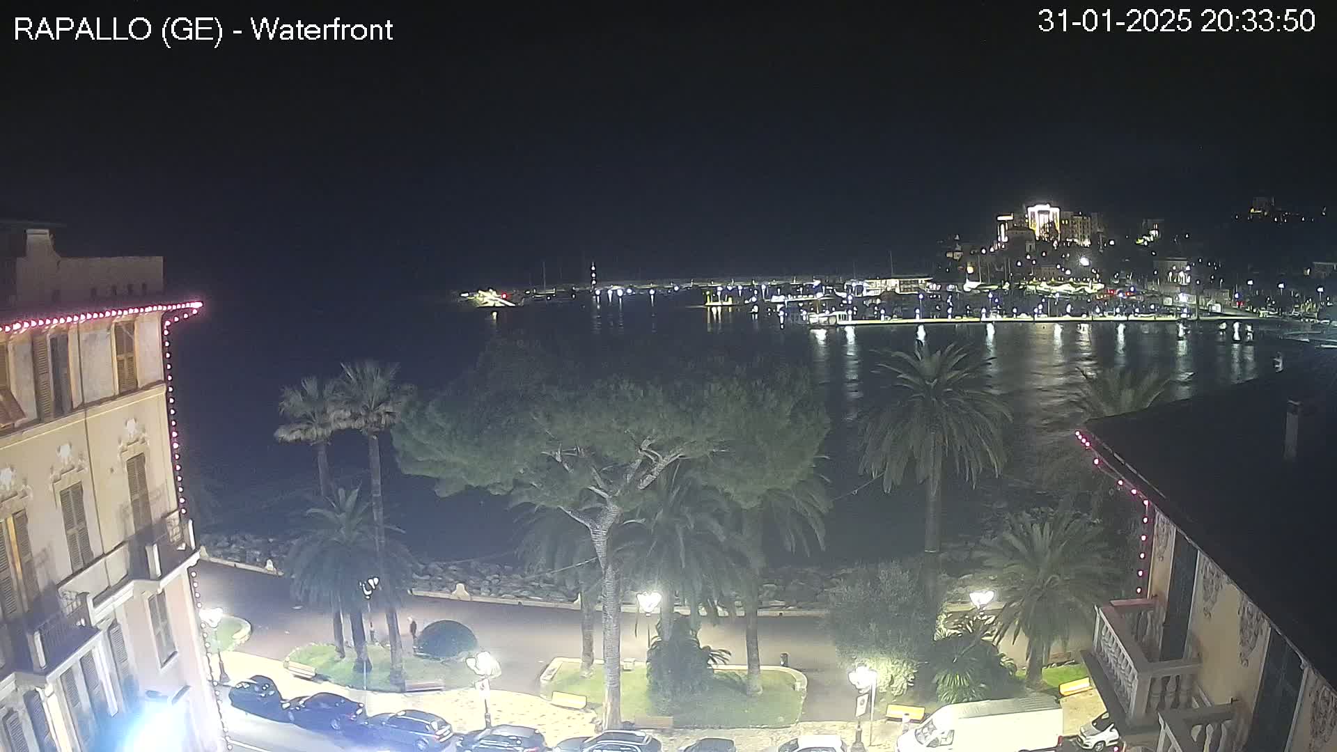 A nighttime view of a waterfront town with palm trees lining a paved walkway, overlooking a calm harbor filled with boats and illuminated buildings across the water.