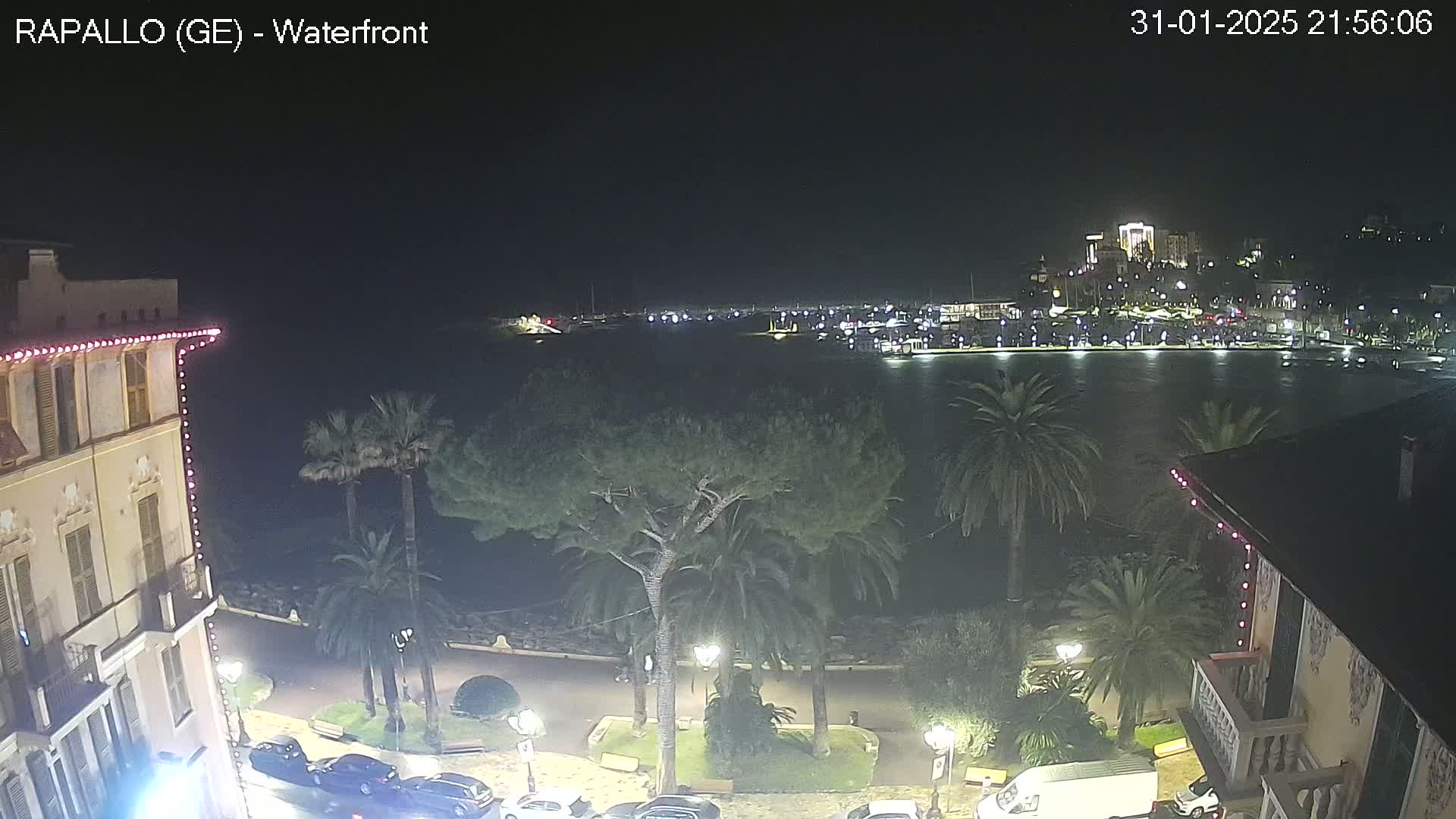 A nighttime waterfront view shows a town's illuminated buildings across a calm body of water, palm trees and other vegetation lining a paved walkway, and several parked cars visible from an elevated perspective.