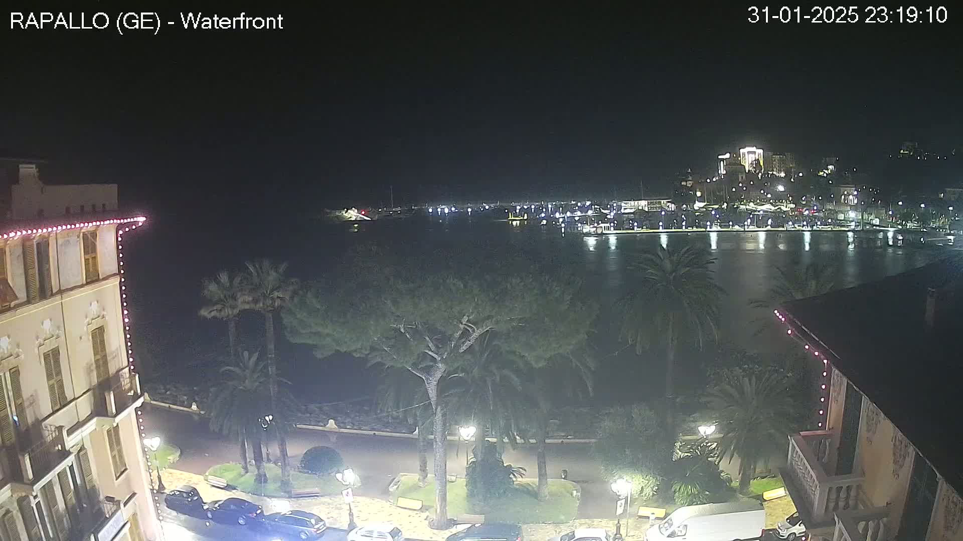 A nighttime view of a waterfront town with calm water, palm trees, and buildings decorated with lights.