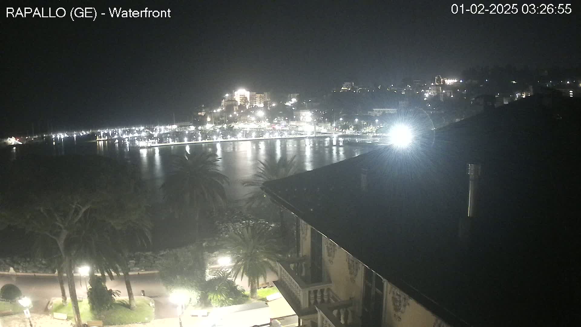 A nighttime view of a calm harbor with brightly lit buildings and palm trees along the waterfront.