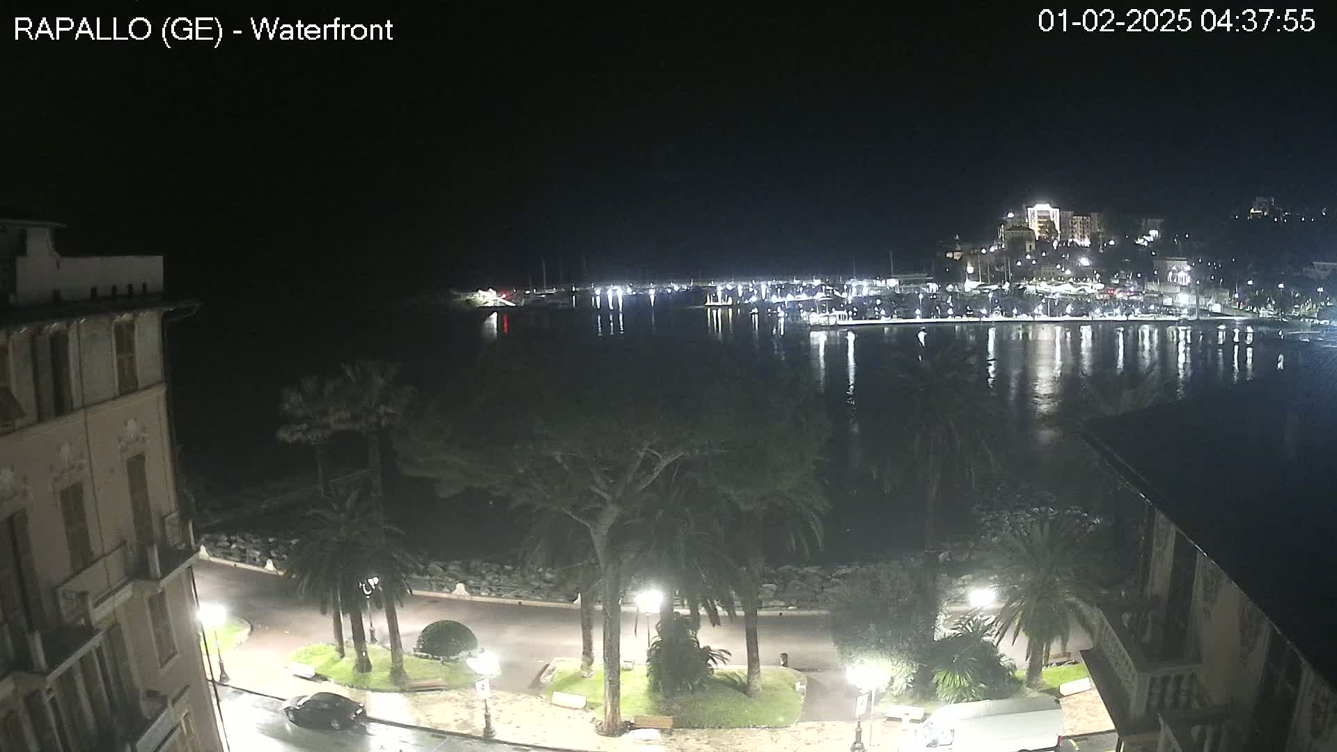 A nighttime view of a waterfront city, with palm trees lining a wet paved walkway next to a calm body of water reflecting city lights.