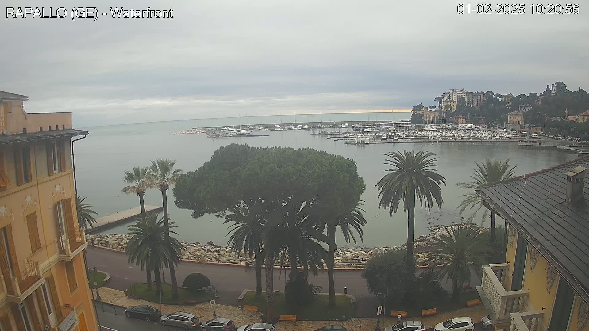A waterfront scene on an overcast day shows a harbor filled with boats, palm trees lining a paved road, and buildings situated on a hillside overlooking the water.