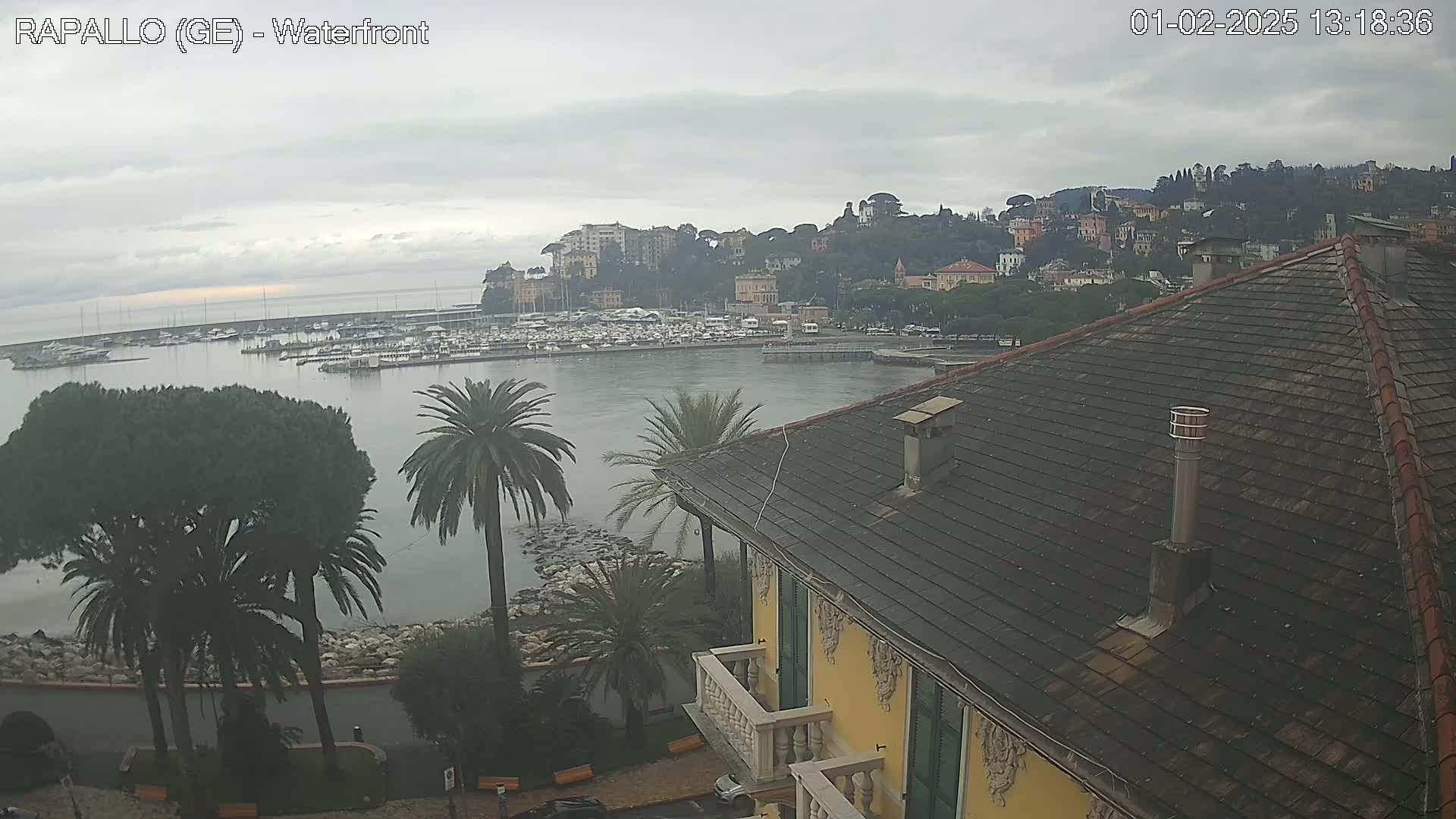A waterfront view of a town with a harbor full of boats, under an overcast sky, seen from atop a building with a dark-tiled roof.