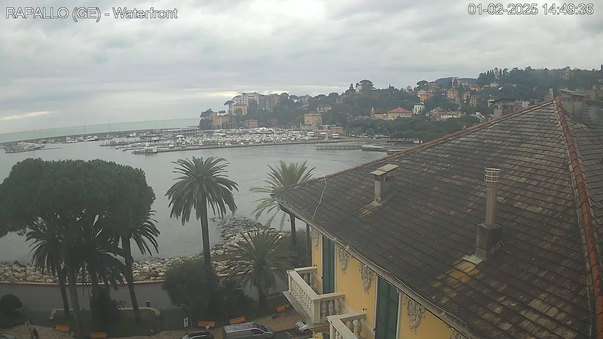 A waterfront view of a harbor filled with boats, a hillside town, and palm trees under an overcast sky.