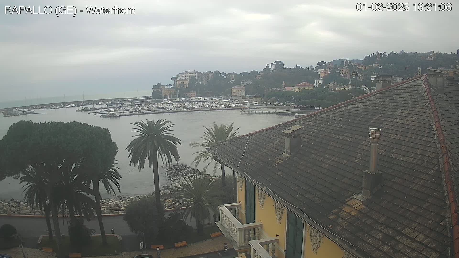 A waterfront view of a town on a cloudy day shows a harbor filled with boats, palm trees, and a building with a tiled roof in the foreground.
