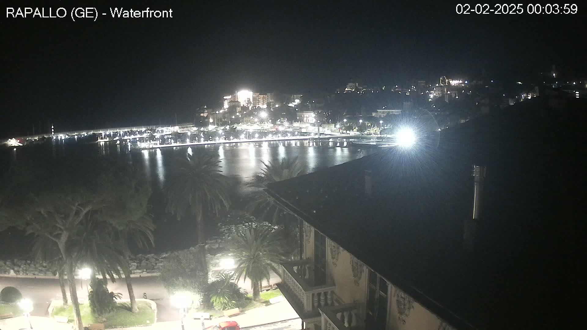 A nighttime view of a waterfront town with palm trees lining a calm bay, illuminated by streetlights and building lights.