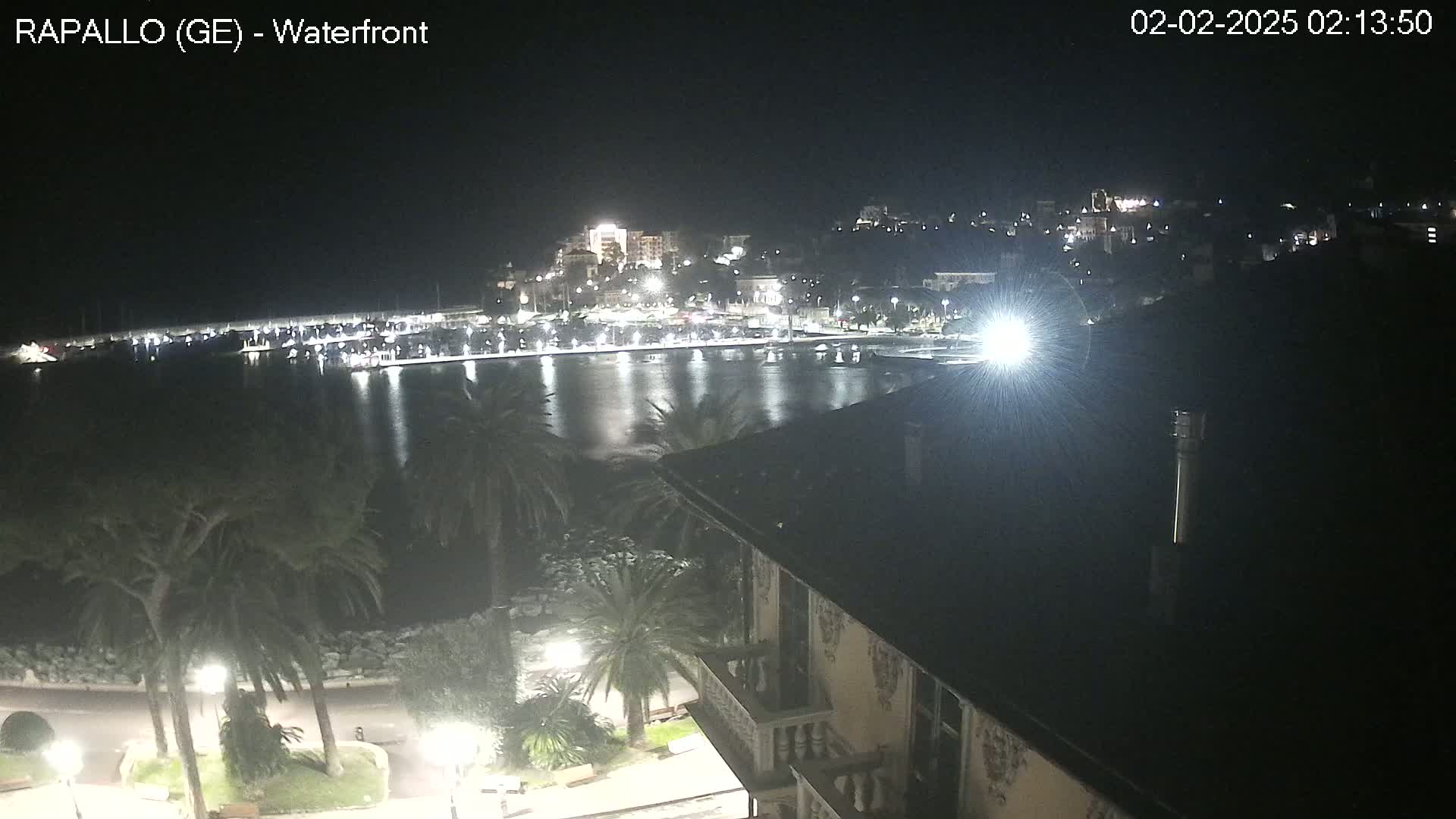 A nighttime view of a calm harbor with city lights reflecting on the water, palm trees and a building in the foreground.