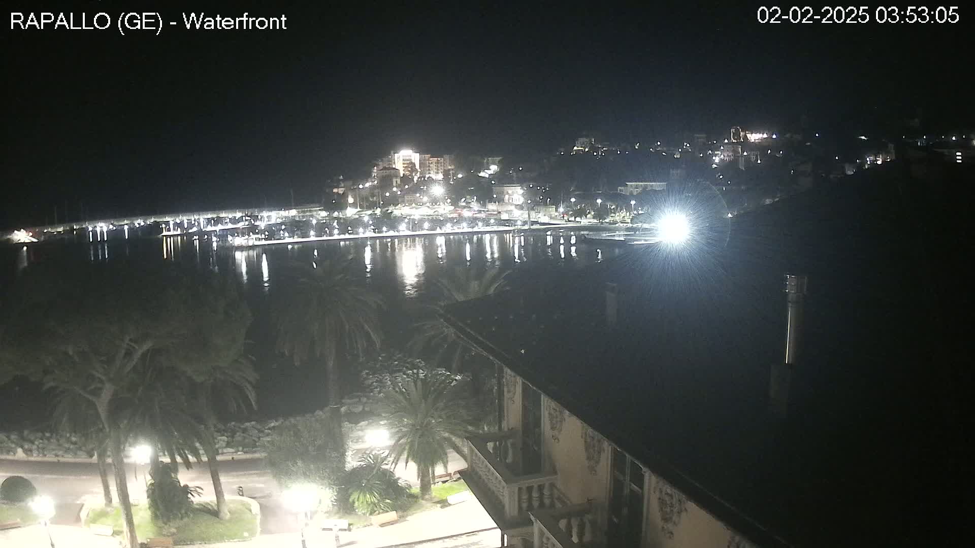 A nighttime view of a calm harbor reflecting city lights, seen from an elevated vantage point overlooking palm trees and a building.