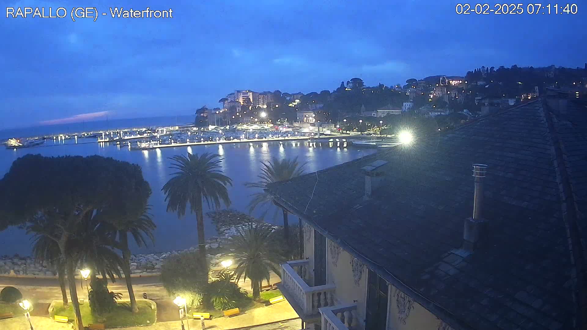 A nighttime view of a harbor filled with boats, a town nestled on a hill overlooking the water, and palm trees lining a waterfront promenade under a twilight sky.