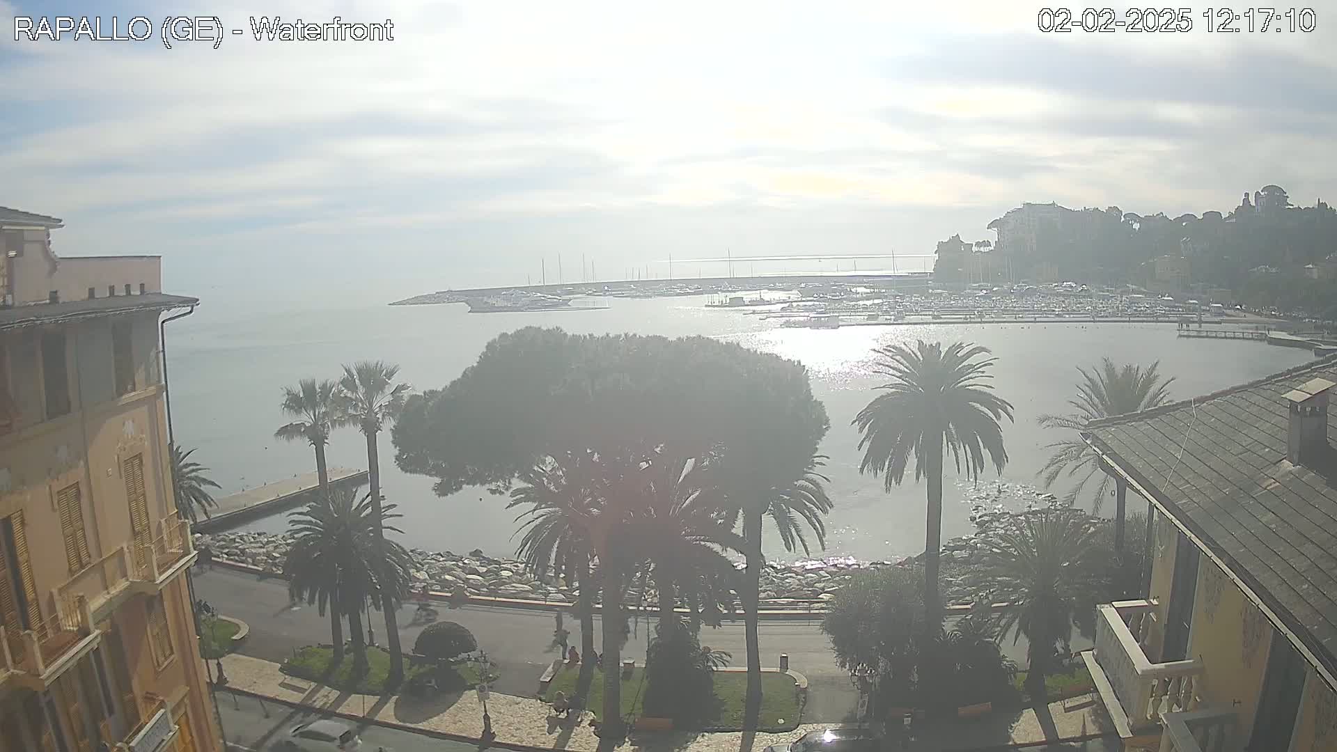 A hazy, sunny day overlooks a waterfront harbor filled with boats, palm trees lining a paved walkway next to a calm body of water, with buildings visible on both sides of the harbor.
