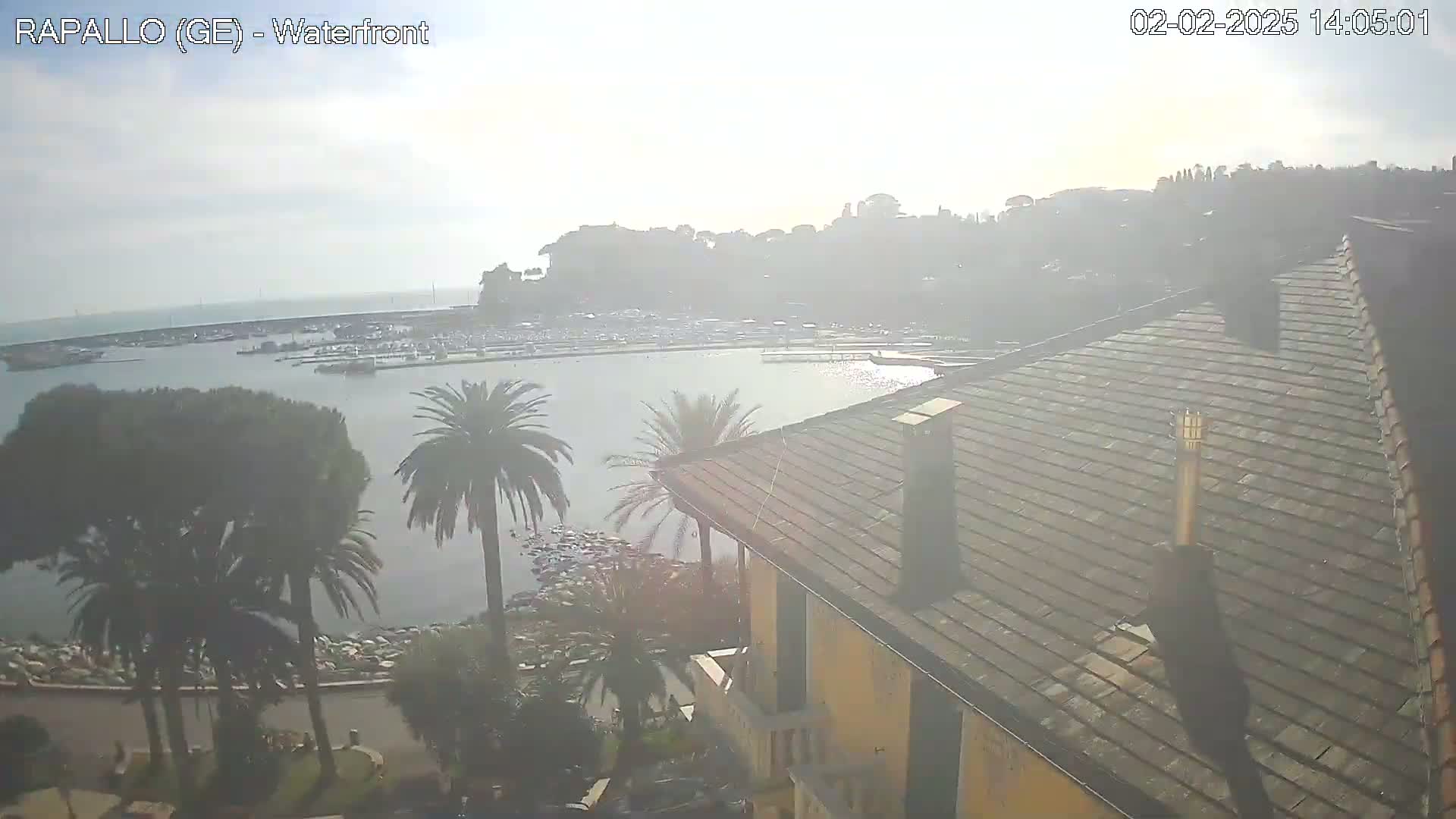 A hazy, sunny view from a rooftop shows a harbor filled with boats, palm trees along a shoreline, and a town rising on a hillside in the distance.