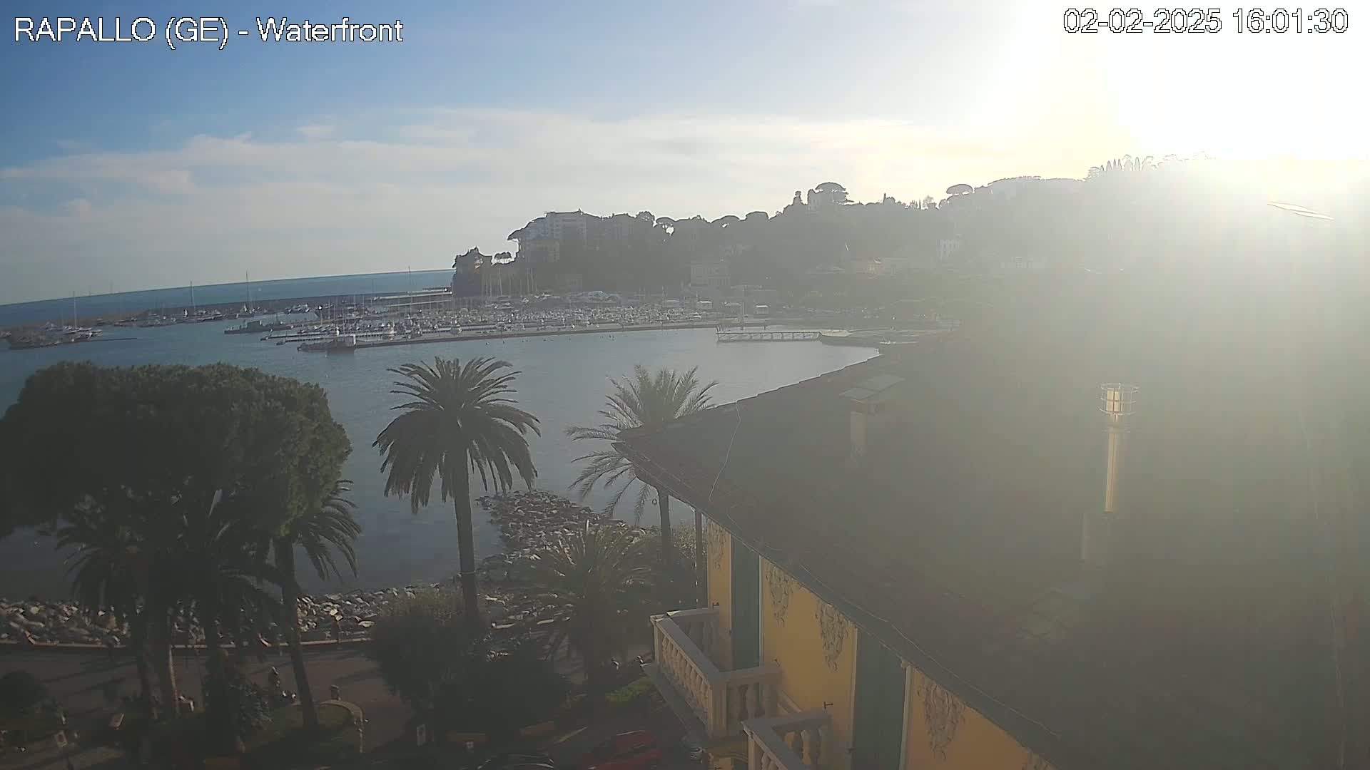 A hazy sun shines over a harbor filled with boats, a hill topped with buildings, and palm trees lining a waterfront next to a yellow building.