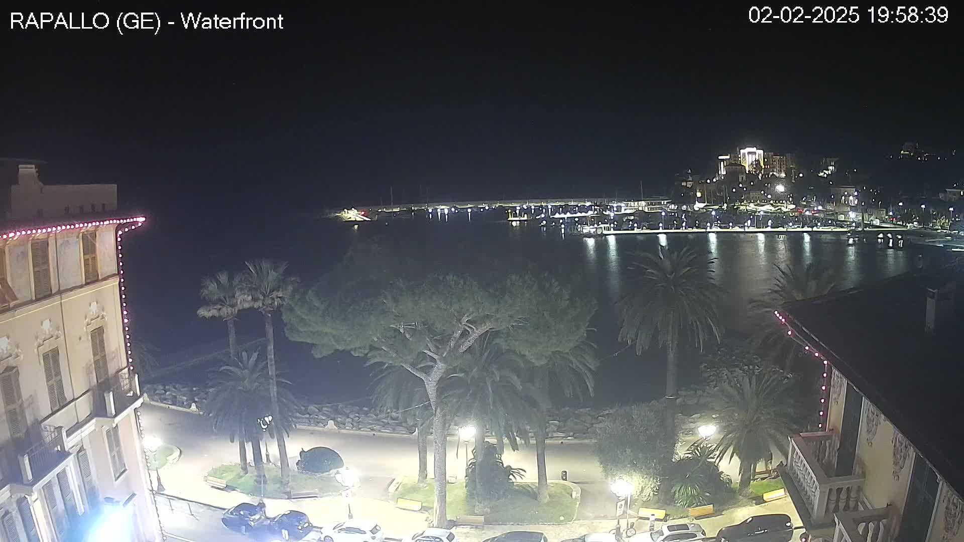A nighttime view of a waterfront town, with palm trees lining a paved walkway next to a calm body of water, reflecting the lights of buildings across the harbor.