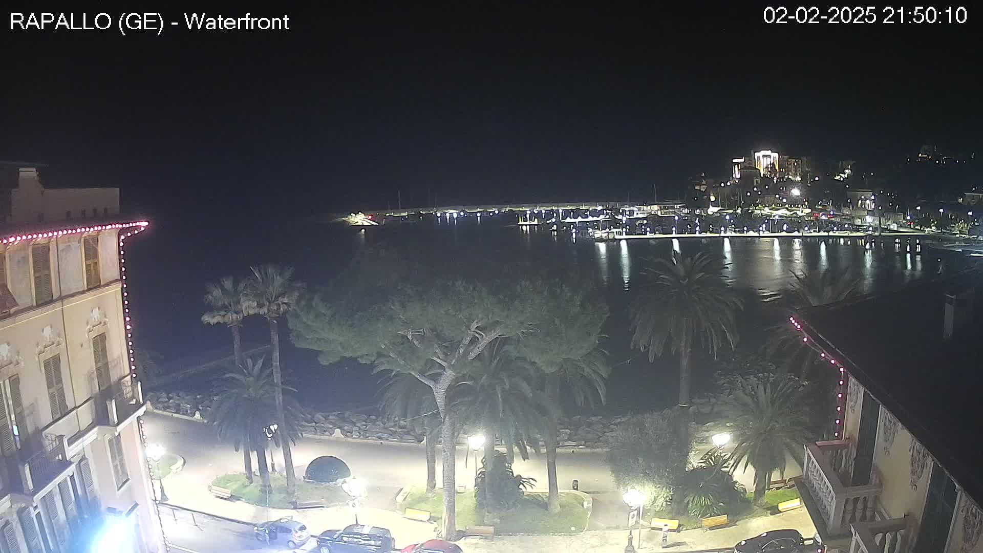 A nighttime view of a harbor filled with boats, a town illuminated along the waterfront, and palm trees lining a paved walkway.
