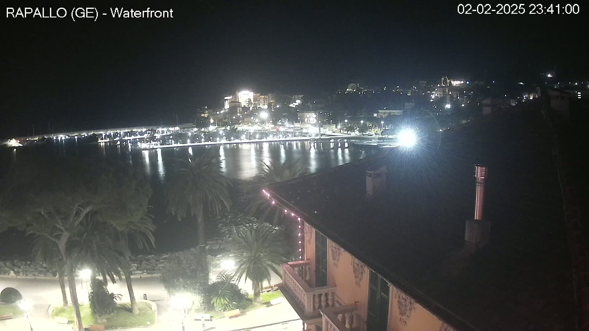 A nighttime view of a harbor, town, and palm trees from a building's rooftop, with calm water reflecting lights.