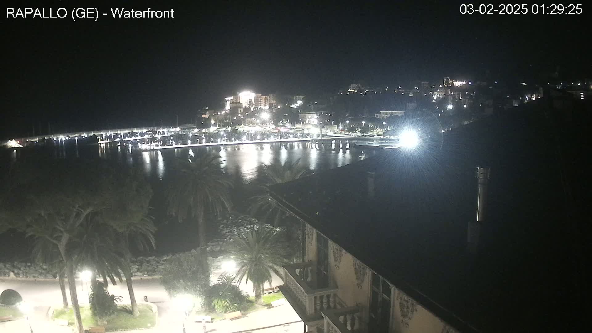 A nighttime view of a harbor filled with boats, a town illuminated with lights, and palm trees along a waterfront promenade.