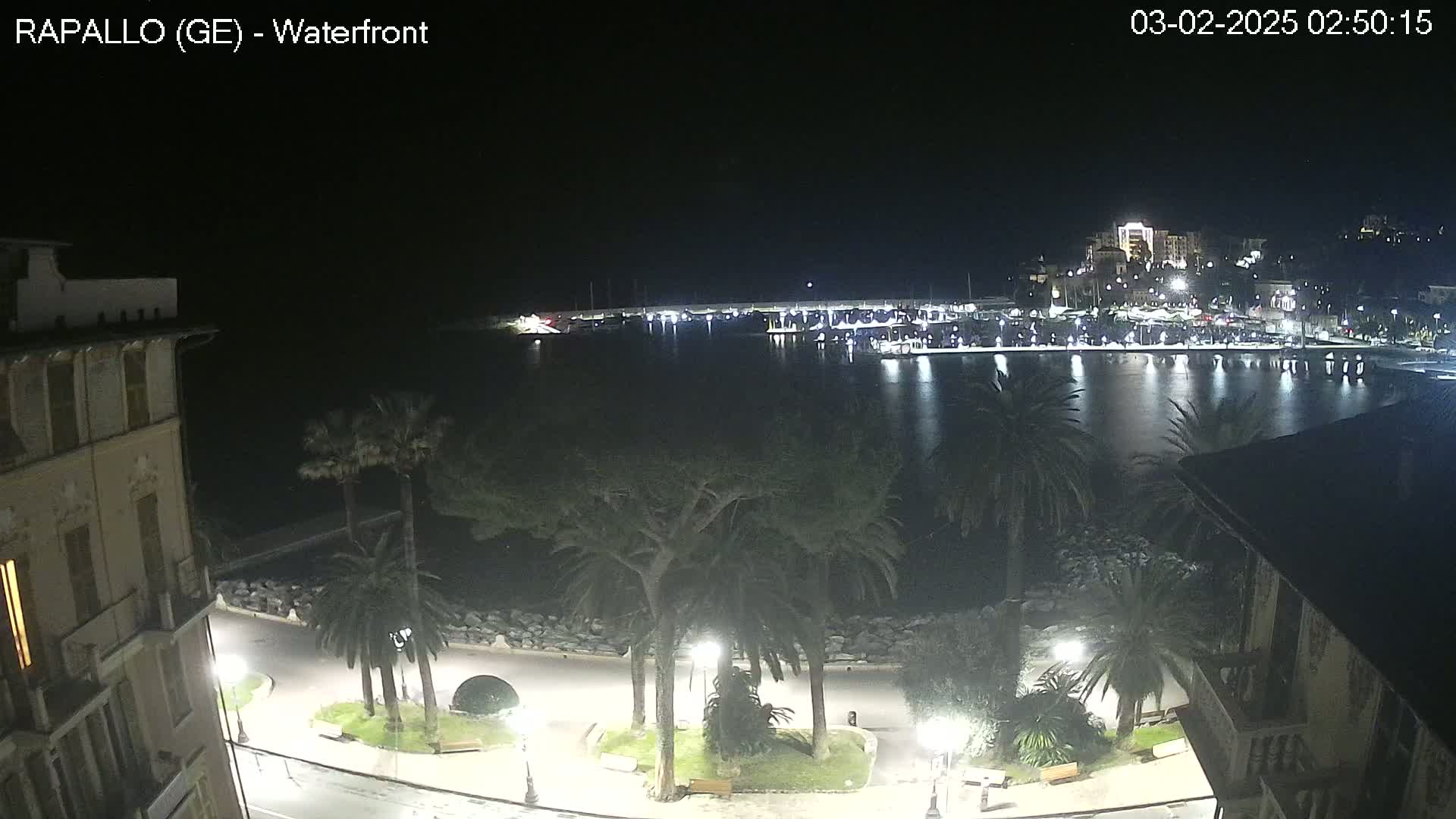 A nighttime view of a calm harbor with boats docked, illuminated buildings on the opposite shore, and palm trees lining a waterfront promenade.